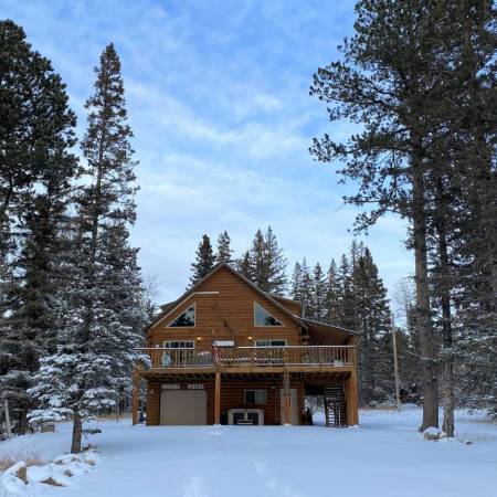 Missing Moose at Terry Peak
